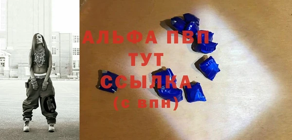 apvp Бородино
