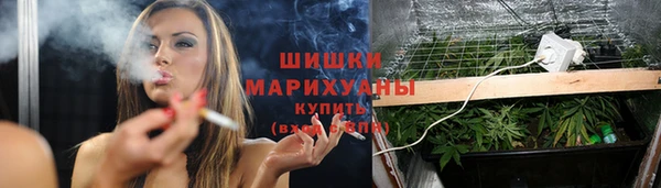 apvp Бородино