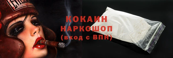 apvp Бородино