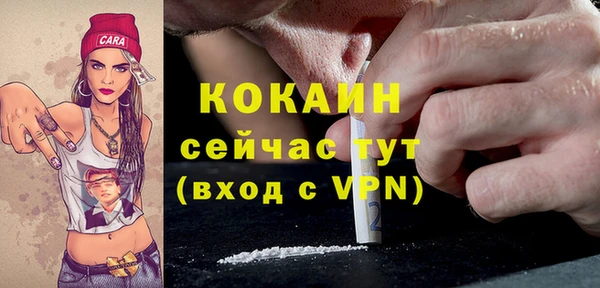 apvp Бородино