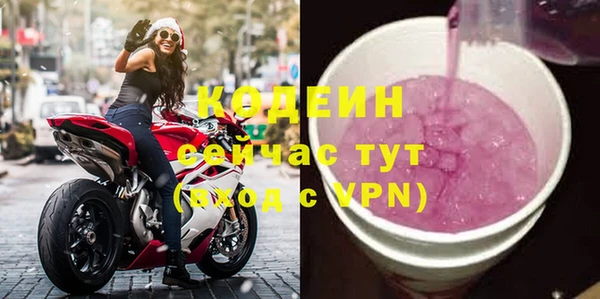 apvp Бородино