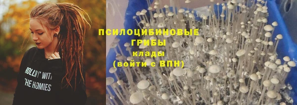 трава Бугульма